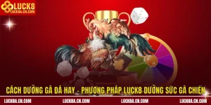 Cách dưỡng gà đá hay