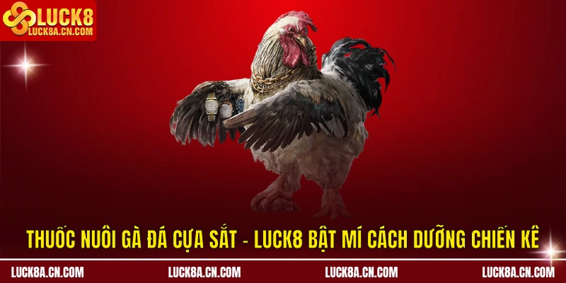 Thuốc nuôi gà đá cựa sắt